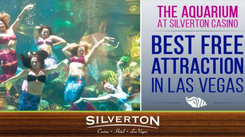 The Silverton Aquarium – Silverton Hotel & Casino